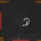 2026-04-15/Brain/AAHead Scout/0001-.png