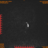 2026-04-15/Brain/AAHead Scout/0011-.png