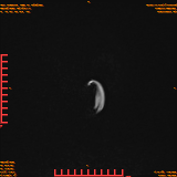 2026-04-15/Brain/AAHead Scout/0017-.png