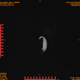2026-04-15/Brain/AAHead Scout/0018-.png