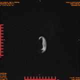 2026-04-15/Brain/AAHead Scout/0019-.png