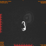 2026-04-15/Brain/AAHead Scout/0021-.png