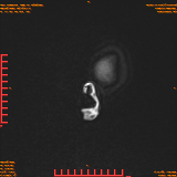 2026-04-15/Brain/AAHead Scout/0022-.png
