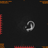 2026-04-15/Brain/AAHead Scout/0128-IM146.png