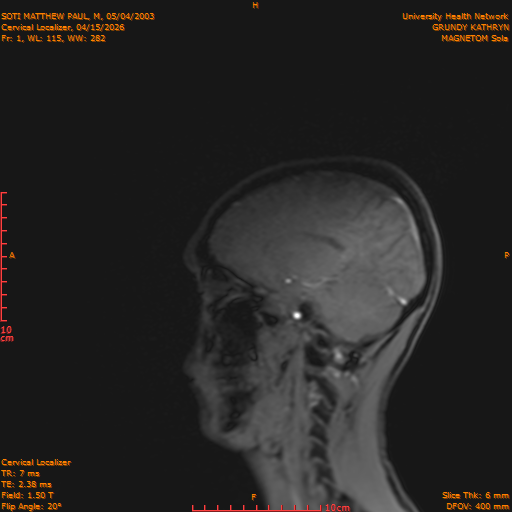 2026-04-15/Entire Spine/Cervical Localizer/0002-.png