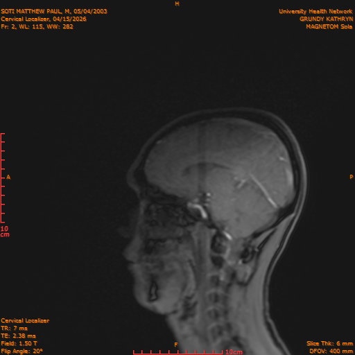 2026-04-15/Entire Spine/Cervical Localizer/0003-.png