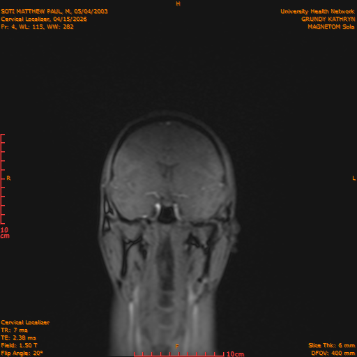 2026-04-15/Entire Spine/Cervical Localizer/0005-.png